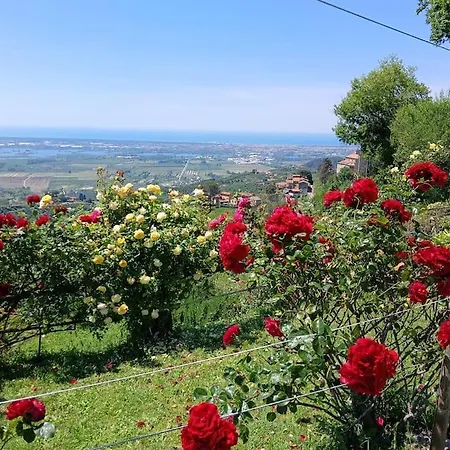 Holiday home Casa Panoramica Sulle Colline Di Viareggio *